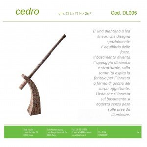 cedro